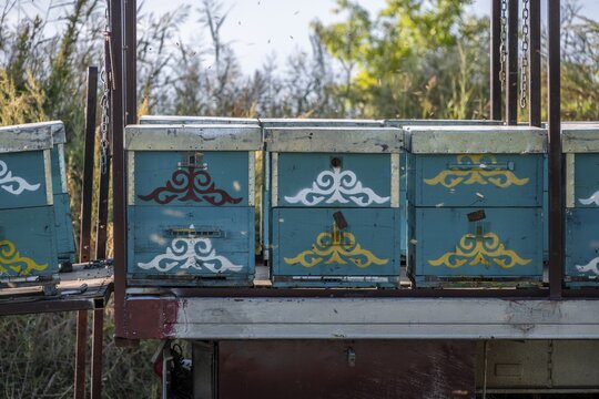 Colourfully painted beehives in a row, beekeeper, Kyrgyzstan