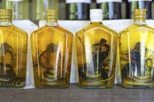 Choum, rice liquor, rice wine with pickled scorpions and Snakes for sale, Laos