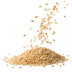 Pile of sesame seeds with some falling on a black background in a studio shot close up view