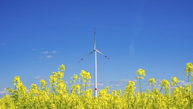 Tomerdingen wind farm, Swabian Alb, Baden-W&uuml;rttemberg, Germany