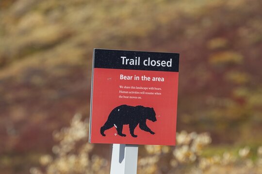 Warning sign for bear encounters, Denali National Park, Alaska, USA