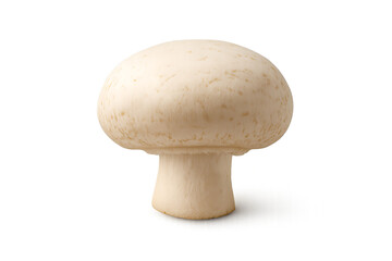 Fresh white button mushroom isolated on transparent background for cooking ingredient concepts, clean food concepts, and nutrition-related creative projects, Organic Single Whole White Mushroom, PNG