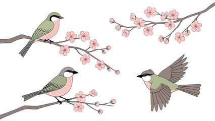Charming hand-drawn illustration of birds perched on cherry blossom branches