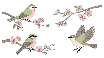 Birds on Flowering Branches Illustration