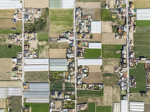 The semi rural district of La Algaida with its cultivated fields next to Sanl&uacute;car de Barrameda. Aerial view. Drone shot. C&aacute;diz province, Andalusia, Spain