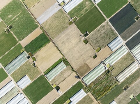 Cultivated fields in the semi rural district of La Algaida next to Sanl&uacute;car de Barrameda. Aerial view. Drone shot. C&aacute;diz province, Andalusia, Spain