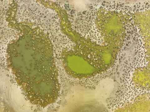 Marshland at the lagoon Estero del Rinc&oacute;n. Aerial view. Drone shot. Huelva province, Andalusia, Spain