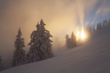 Cloudy mood and sunbeams over snow-covered trees, winter, mountain landscape, Jochschrofen, Allgäu Alps, Allgäu, Germany