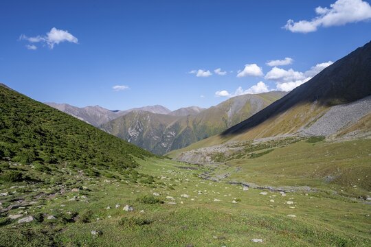 Green high valley with mountain stream, Keldike Valley on the way to the Ala Kul Pass, Tien Shan Mountains, Kyrgyzstan