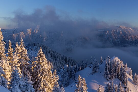Mountain landscape in winter, evening light, snow, mountain forest, Laber, Ammergau Alps, Upper Bavaria, Bavaria, Germany