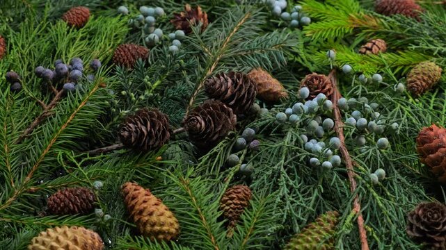 Beautiful close-up of natural Christmas greenery with pine, fir, and juniper branches, pine cones, and berries arranged in a festive flat lay