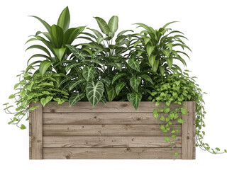 Naklejka premium Lush green potted plants with varied leaf textures in a rustic wooden planter box, isolated on a transparent background for easy compositing isolated on transparent background