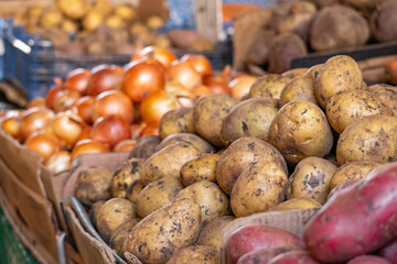 Potato. Shelf with potatoes in the supermarket. Fresh organic potatoes for sale. Potatoes piled high on a display at the farmers' market.