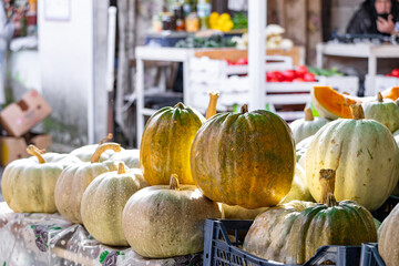 Fresh pumpkins displayed at a fall market stall. A pile of striped and spotted pumpkins. The pile is full of pumpkins of various sizes, a Thanksgiving concept, a harvest. A symbol of Halloween.