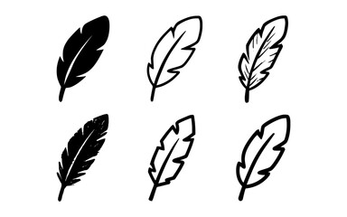 Monochrome feather set featuring various decorative styles