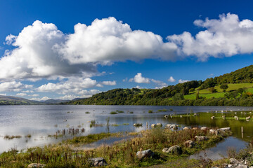 Flooded lakeshore with distant hills at Lake Bala