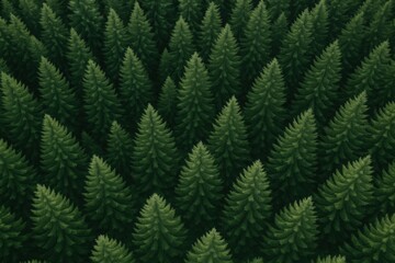 Aerial View of Dense Evergreen Forest: Untouched Nature and Woodland Scenery in Dark Green Tones