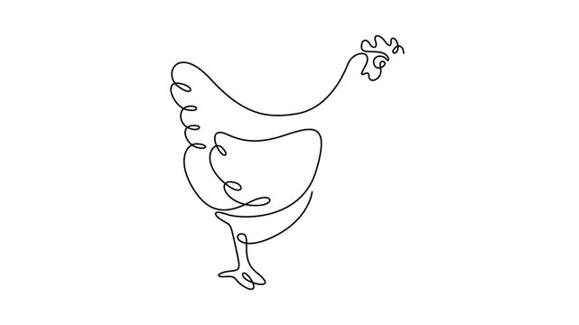 Self animated minimalist continuous one line drawing of a chicken