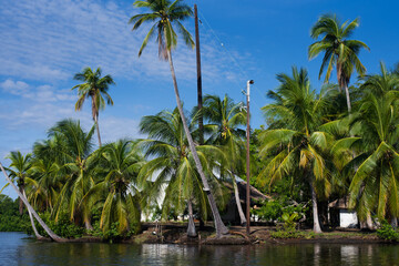 Obraz premium tropical palm island by water