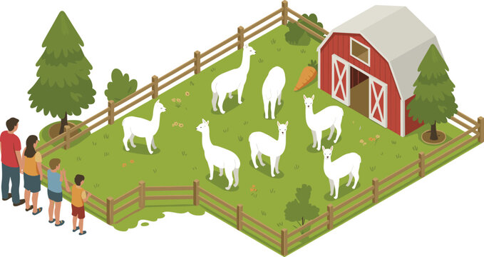 Isometric illustration of family visiting alpaca farm with fenced pasture, barn, trees, cute alpacas and children enjoying outdoor animal attraction