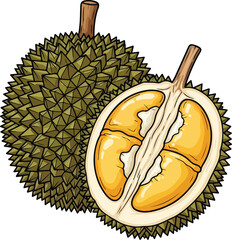 Spiky Durian Fruit and Sliced Yellow Pulp Vector