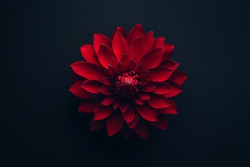 Crimson Dahlia: Captivating Close-Up of Red Flower with Intricate Petals Displaying Rich Colors, Elegant Symmetry, and Dark Backdrop