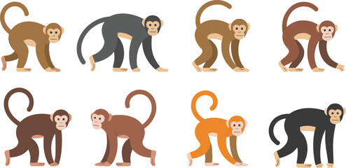 Set of eight cute monkey illustrations in various colors and poses, simple flat style animal graphics for zoo wildlife designs