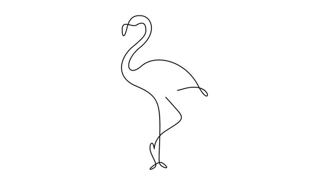 Minimalist single-line art drawing of a flamingo animation video