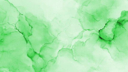 Obraz premium Green abstract alcohol ink art background with fluid organic watercolor texture Vector, illustration