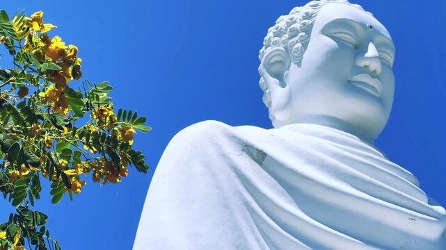 Nha Trang, Vietnam - September 18, 2025. Chua Long Son Pagoda with a large white Buddha statue in the vast, clear blue sky. The main Buddhist temple of Kien Giang Province. 4К	
