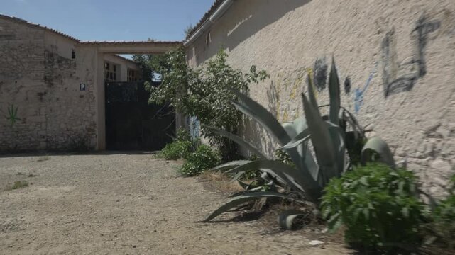 Agave plants abandoned old entrance door gimbal stabilized traveling Terrassa
