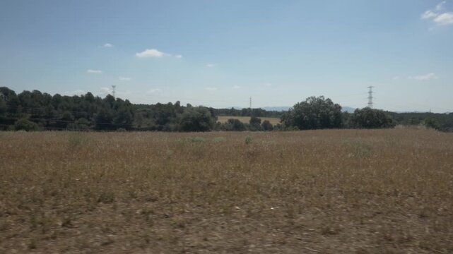 Crop field forest trees gimbal stabilized traveling countryside left 2