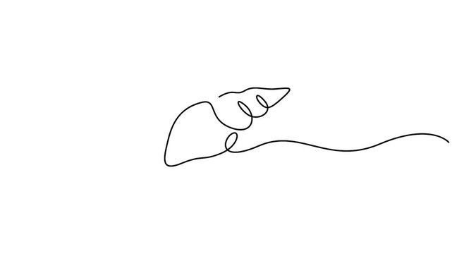 Self animated continuous single-line drawing of a conch snail shell. One line art conch snail shell icon. Full length one line animation 