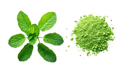 Fresh mint leaves and powdered mint isolated on transparent background