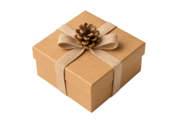 Brown kraft gift box with beige ribbon and pinecone, showcasing rustic holiday packaging