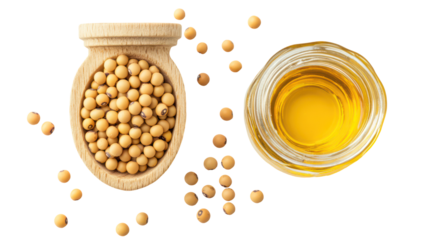 Soybeans in a wooden bowl and soybean oil isolated on transparent background