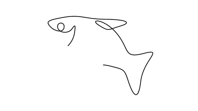 Self animated single line drawing minimalist style illustration of a fish