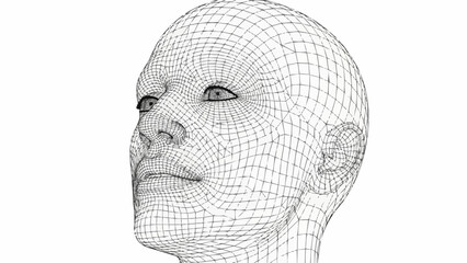 Wireframe Head - A Digital Representation of Human Form.
