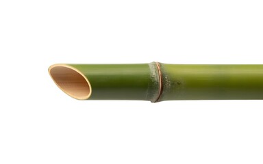 Fototapeta premium Cut green bamboo stalk on white