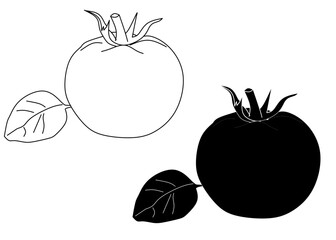 Tomatoes Outline and Silhouette Botanical Set