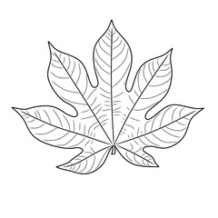 Hand Drawn Outline Leaf with Detailed Veins
