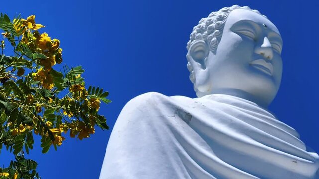 Nha Trang, Vietnam - September 18, 2025. Chua Long Son Pagoda with a large white Buddha statue in the vast, clear blue sky. The main Buddhist temple of Kien Giang Province. 4К	