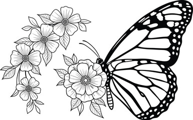 Butterfly and flower illustration set, nature winged insect vector art, cad drawing flat vector illustration, black graphic design artwork