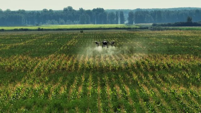 Autonomous agro drone spraying corn field.