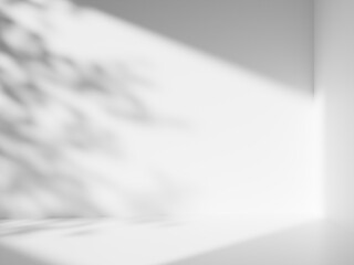 Empty studio or room with sunny shadow. Minimal scene backdrops for product display. 3D Rendering.