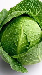 Close-up studio shot of a vibrant green cabbage against a clean white backdrop. The image highlights the texture and detail of the vegetable.