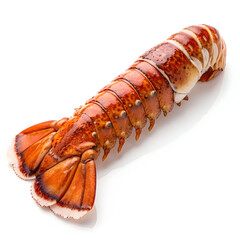 Raw lobster tail isolated on white background showcasing fresh seafood ingredient, perfect for gourmet cooking, recipes,