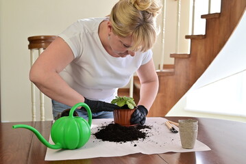 Gardener placing a plant into a new pot