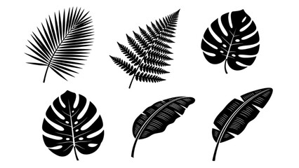 A collection of black silhouette illustrations of various tropical jungle leaves © Stock Image Zone