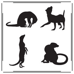 Meerkat silhouette, Meerkat illustration , Meerkat clipart, Meerkat vector , Meerkat icon , black Meerkat, Meerkat illustration on white background,